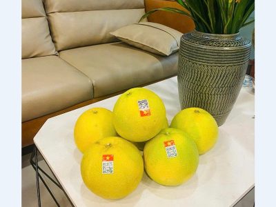 Chúc Mừng Sinh Nhật Các Sếp